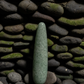 Indian Jade Original Wand