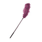 Sportsheets Ostrich Feather  Black