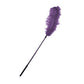 Sportsheets Ostrich Feather  Black