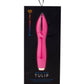 TULIP - MAGENTA